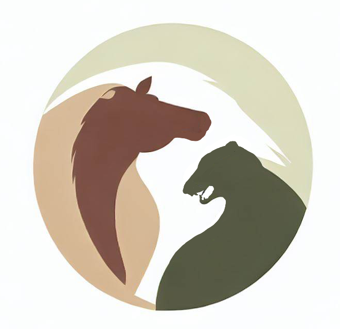 Horse-n-Bear Creative Studio